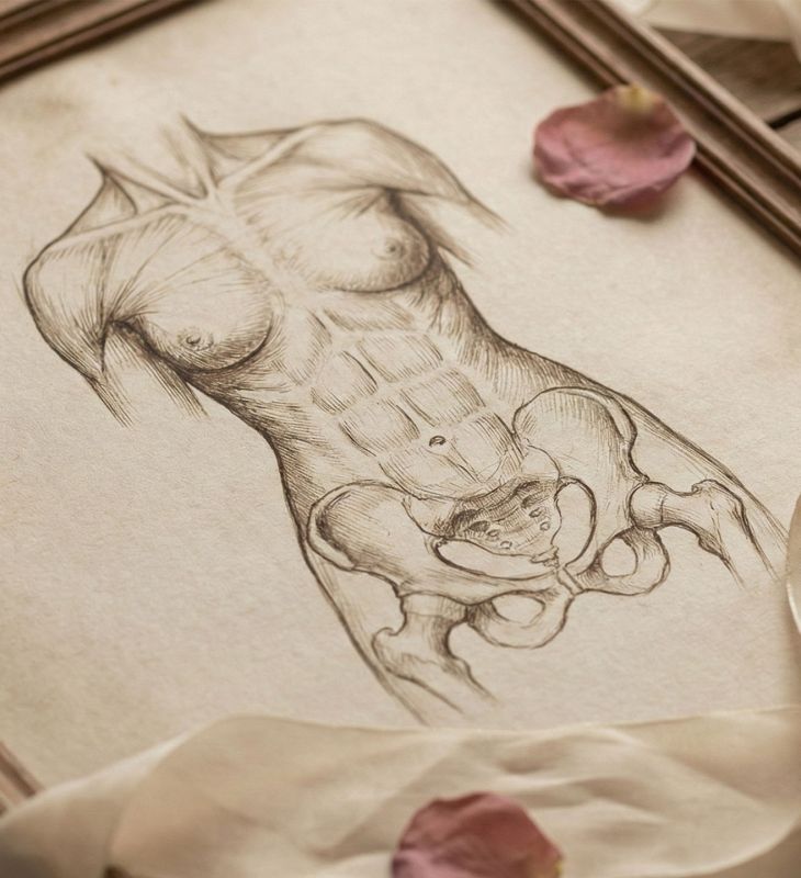 Un dessin anatomique historique du système reproducteur féminin représentant la découverte biologique.