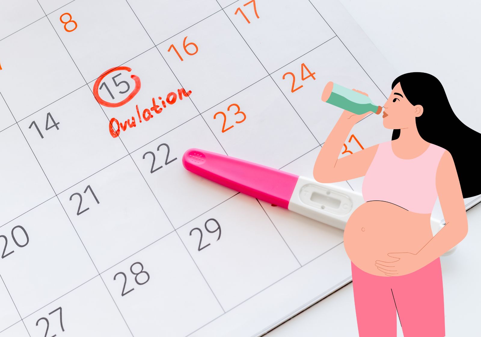 illustration of a menstrual cycle tracking calendar
