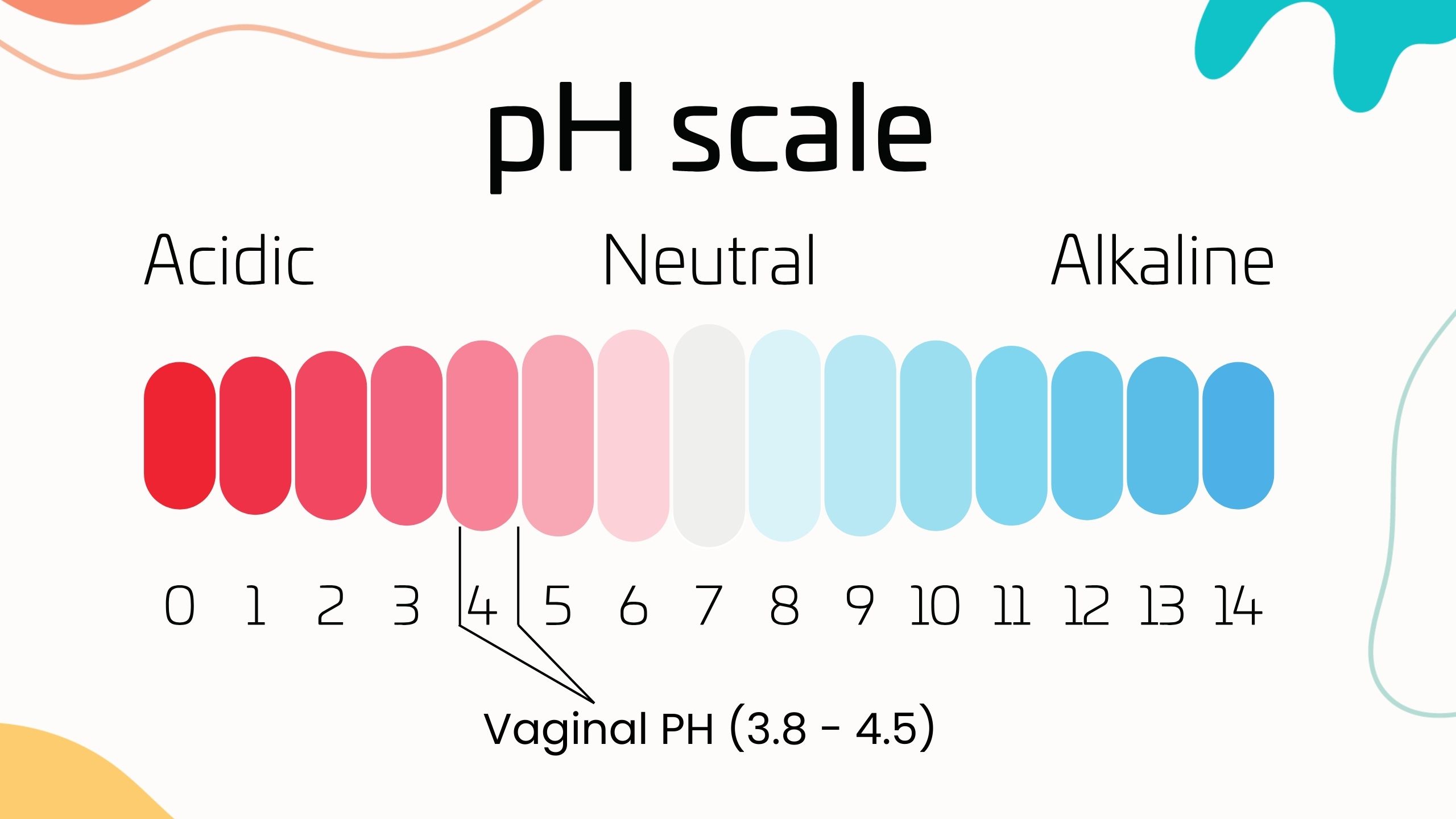 Illustration showing the pH scale and vaginal microbiome balance
