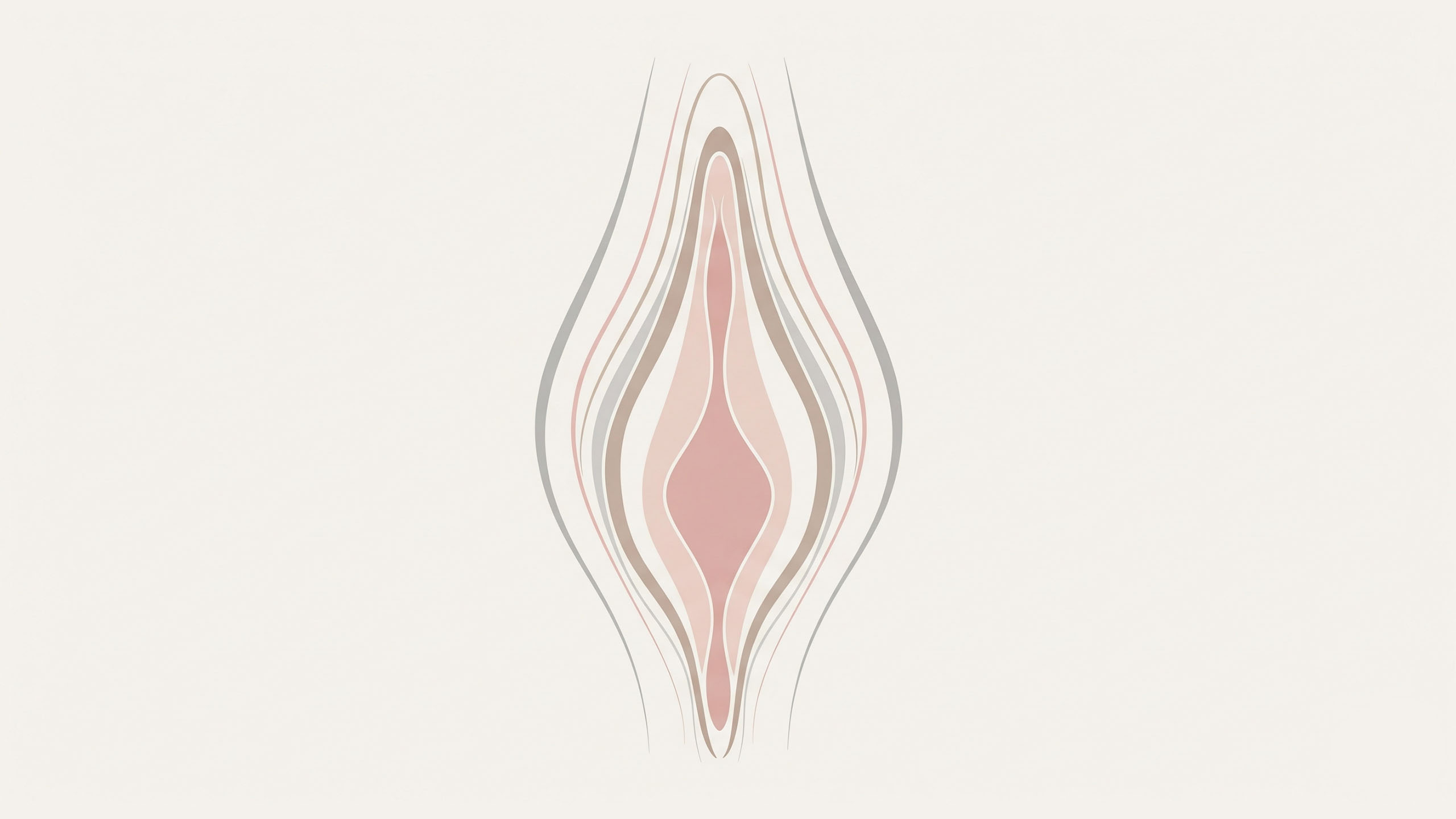 Abstract illustration of vulva curves for educational content