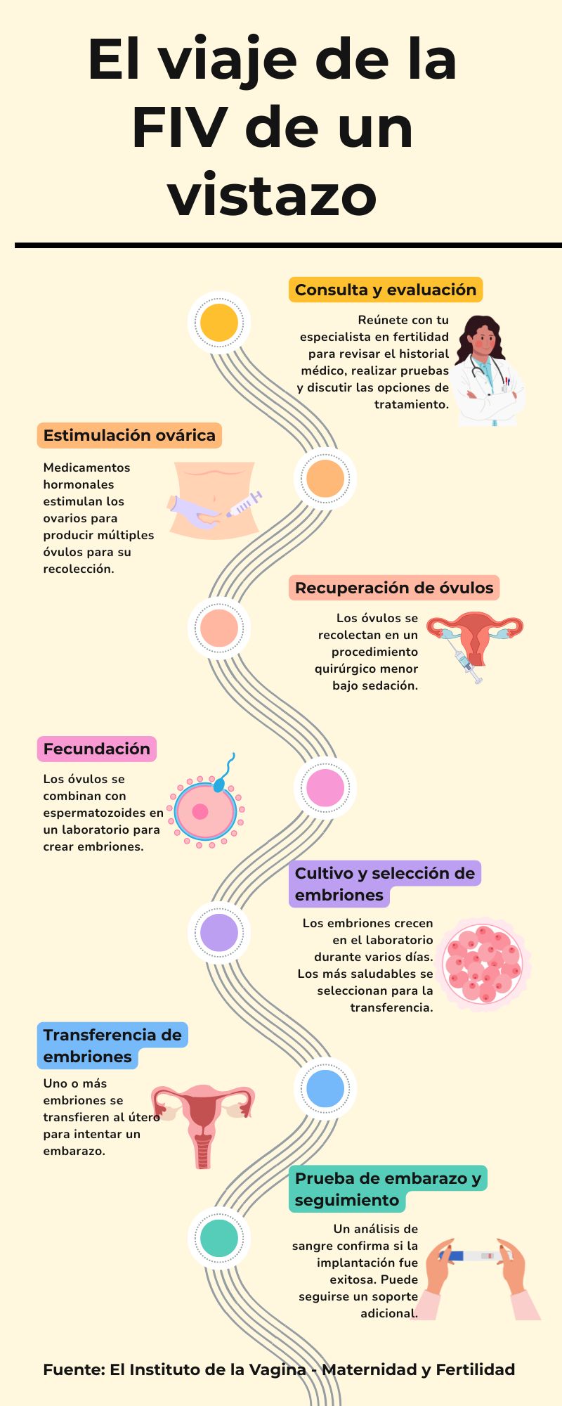 El viaje de la FIV de un vistazo