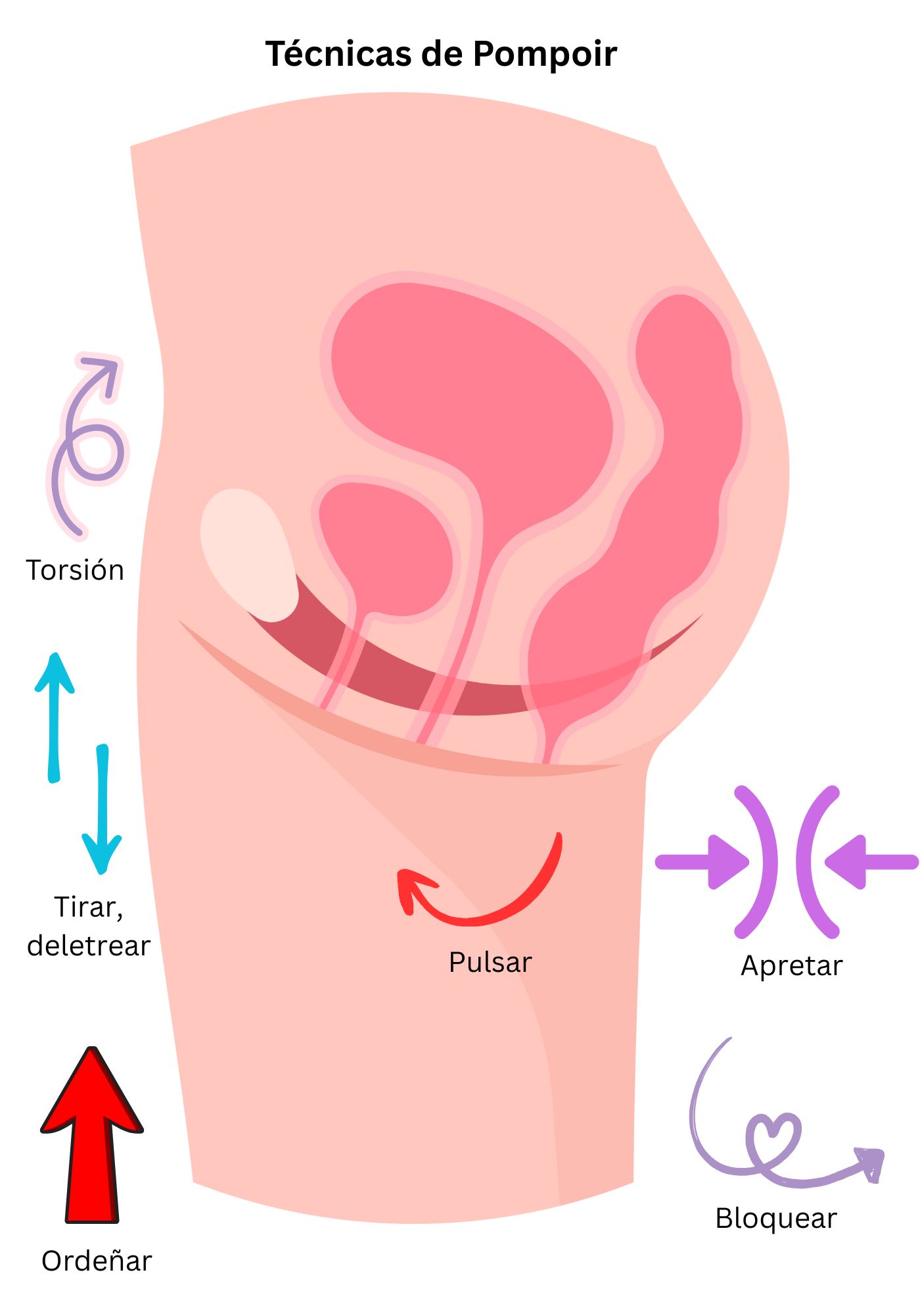 Explora las técnicas de Pompoir con control vaginal