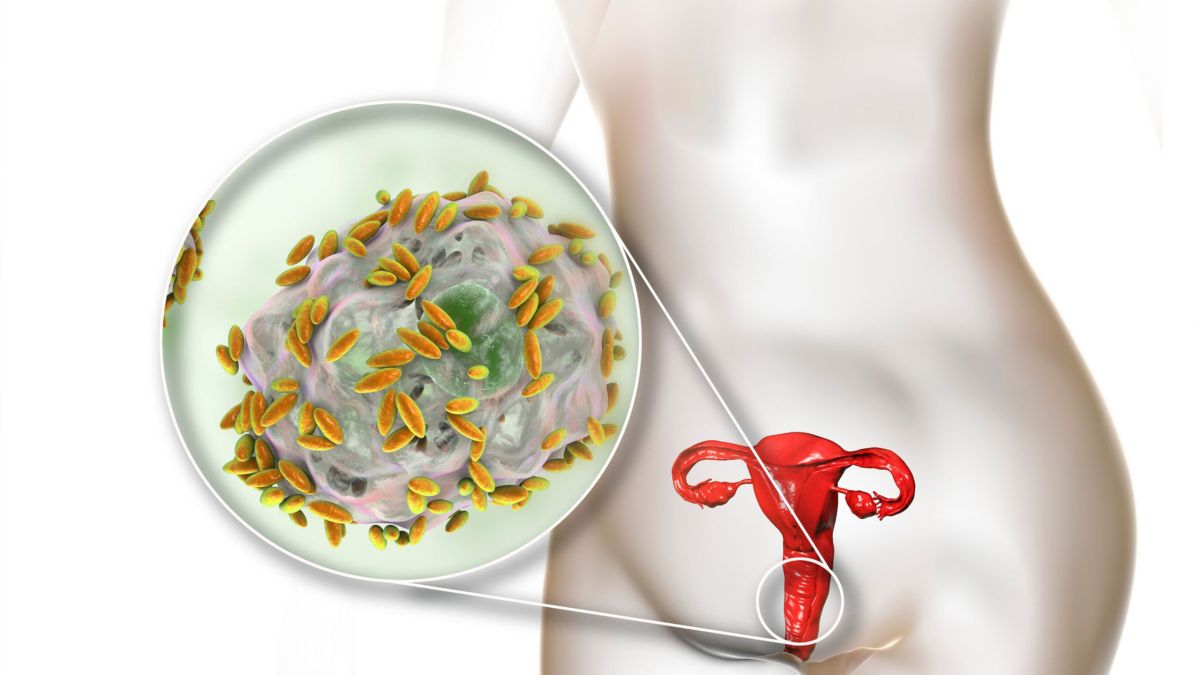 Illustration de la santé et du bien-être vaginal