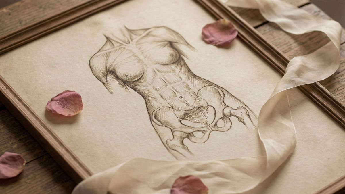 A historical anatomical drawing of the female reproductive system representing biological discovery.