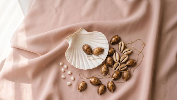 Scallop and cowrie shells with pearls and gold on blush silk, symbols of the goddess and sacred feminine in ancient cultures