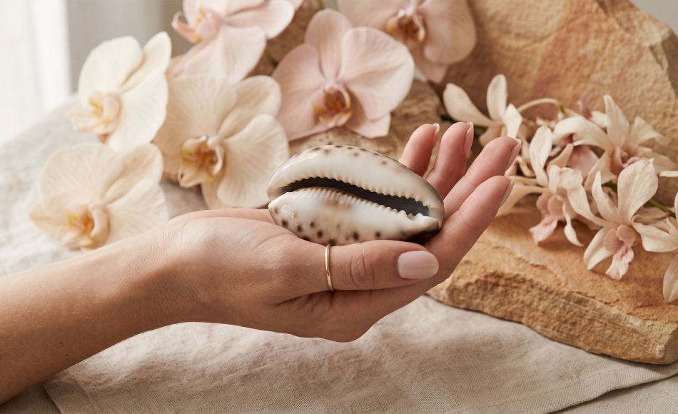 A hand holding a cowrie shell beside orchid blooms, ancient symbols of the sacred feminine in nature