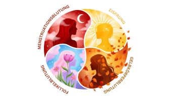 Illustration der vier Phasen des weiblichen Menstruationszyklus als kreisf&ouml;rmiger Tanz der Hormone und Energien.