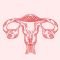 Illustration rendering of the internal female reproductive organ. (Image by freepik.com)