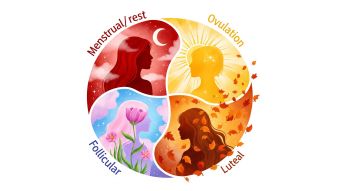 Illustration of the four phases of the female menstrual cycle depicted as a circular dance of hormones and energy.