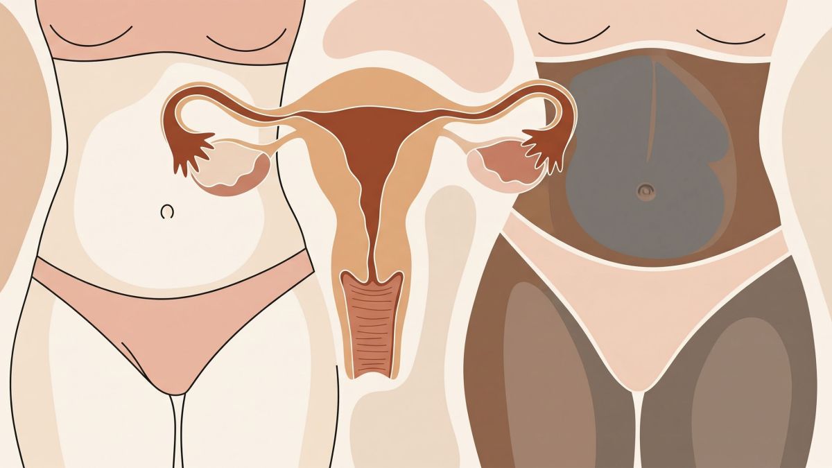 Illustration abstraite représentant une anatomie féminine saine, symbolisant la compréhension et l'éducation.