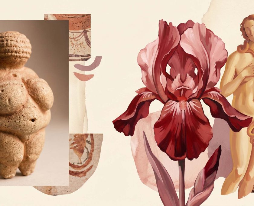 A collage of art-historical feminine forms from prehistoric figurines to Renaissance paintings and abstract botanical canvases