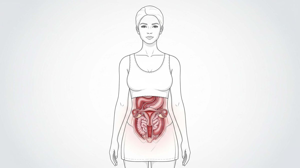 Illustration montrant l’anatomie vaginale avec étiquettes mythe vs réalité