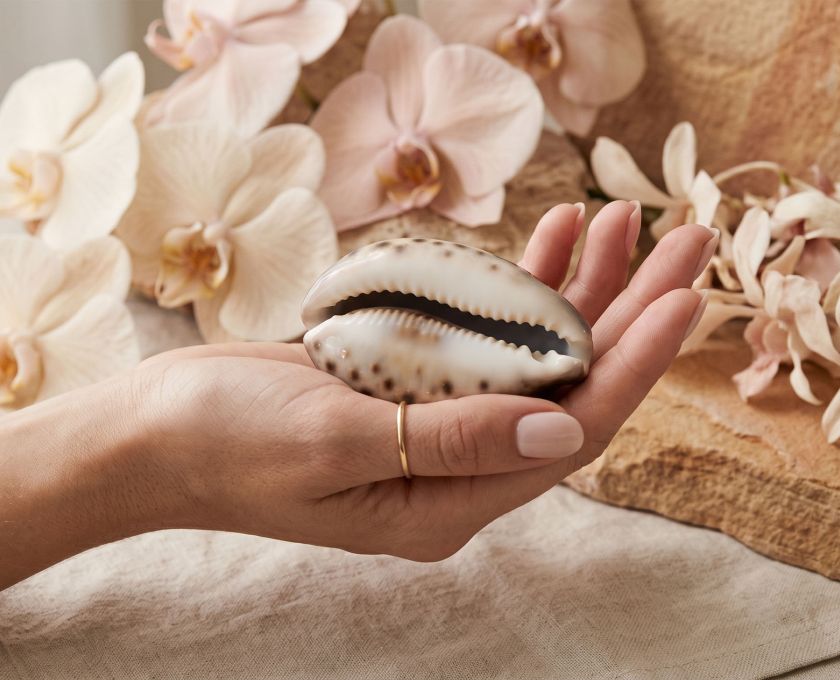 A hand holding a cowrie shell beside orchid blooms, ancient symbols of the sacred feminine in nature