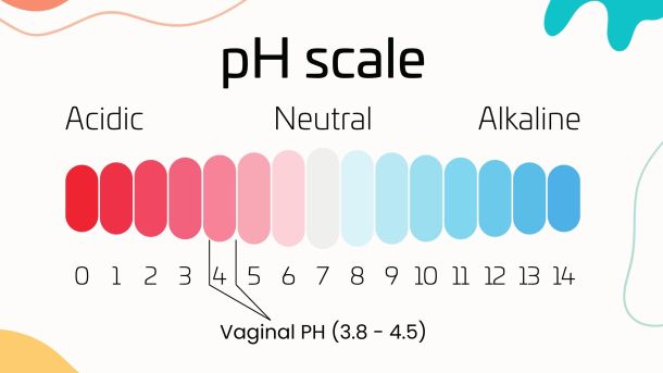 Illustration montrant l’échelle du pH et l’équilibre du microbiome vaginal
