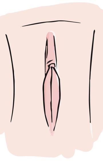 Illustration showing diverse vulvas in color blocks to promote body acceptance and natural variation