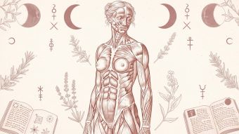 Renaissance anatomical illustration representing myths and fear surrounding the female body through history