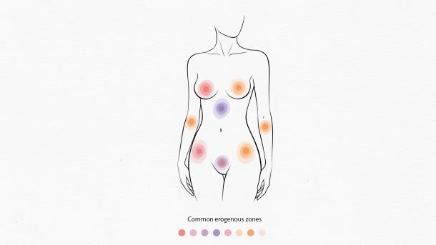 Illustrated map of human body erogenous zones for pleasure exploration