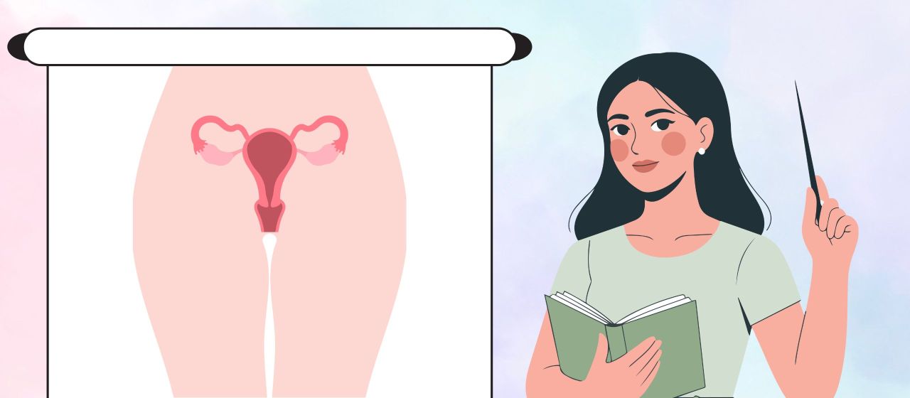 Female Reproductive System Quiz