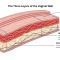 Labeled cross-section of the vaginal wall showing mucosal, muscular, and adventitial layers