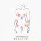 Illustrated map of human body erogenous zones for pleasure exploration